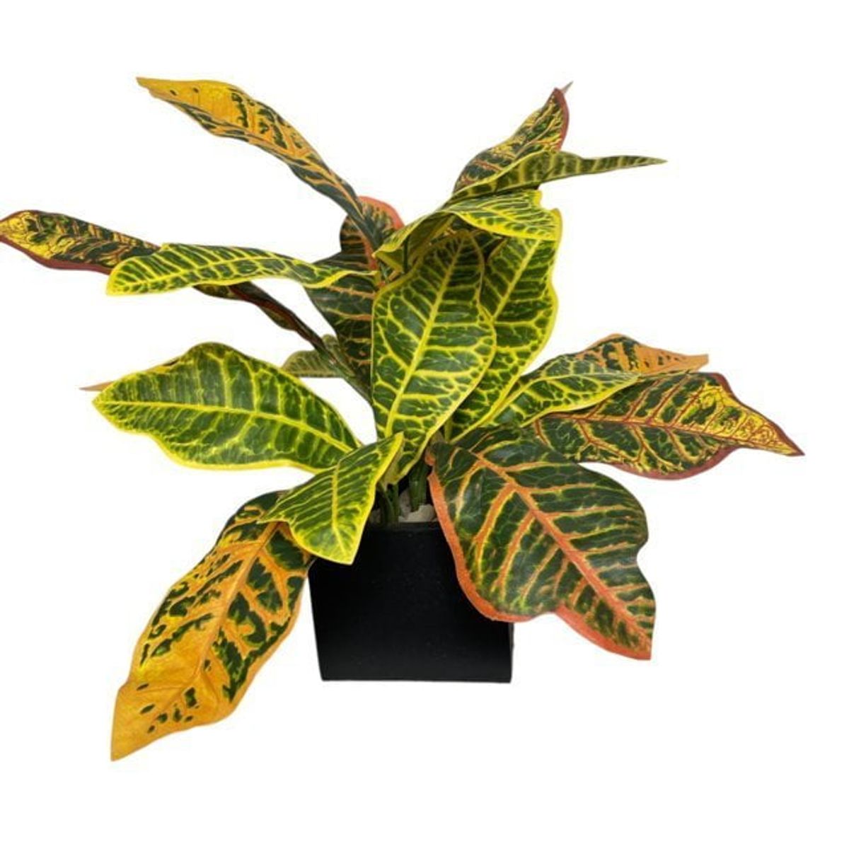 COREL - Arreglo De Ramo Crotón 50cm Artificial - Estilo Natural para Interiores y Vitrinas