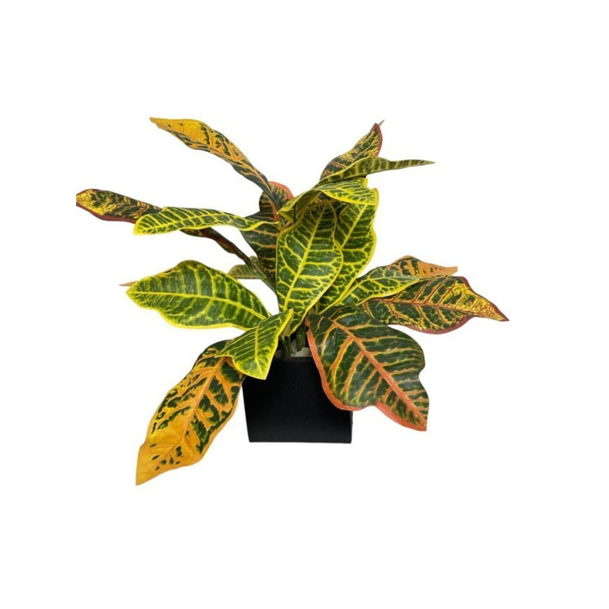 COREL - Arreglo De Ramo Crotón 50cm Artificial - Estilo Natural para Interiores y Vitrinas