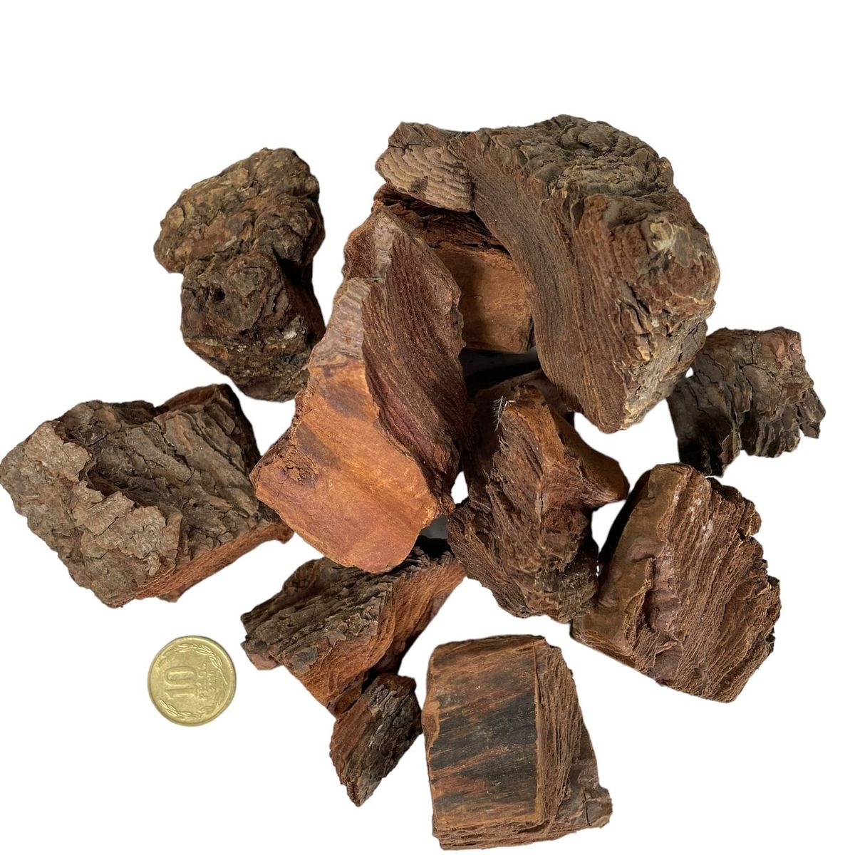 COREL - Bolsa Corteza de Pino 2,5kg - Estilo Natural para Interiores y Vitrinas