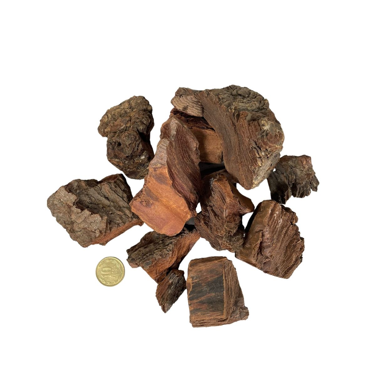 COREL - Bolsa Corteza de Pino 2,5kg - Estilo Natural para Interiores y Vitrinas