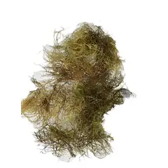 COREL - Bolsa Musgo Seco Natural 45x30cm Artificial - Estilo Natural para Interiores y Vitrinas