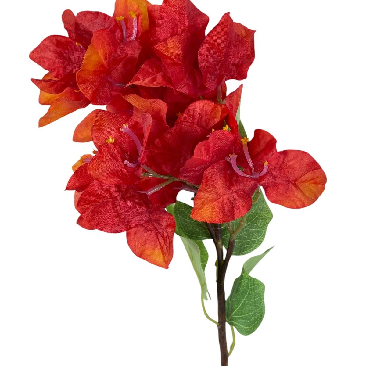 COREL - Buganvilla Naranja 52 cm Artificial - Estilo Natural para Interiores y Vitrinas