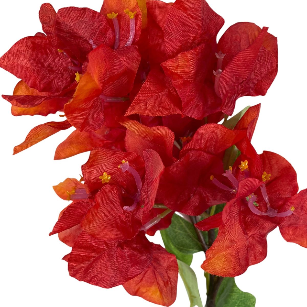 COREL - Buganvilla Naranja 52 cm Artificial - Estilo Natural para Interiores y Vitrinas