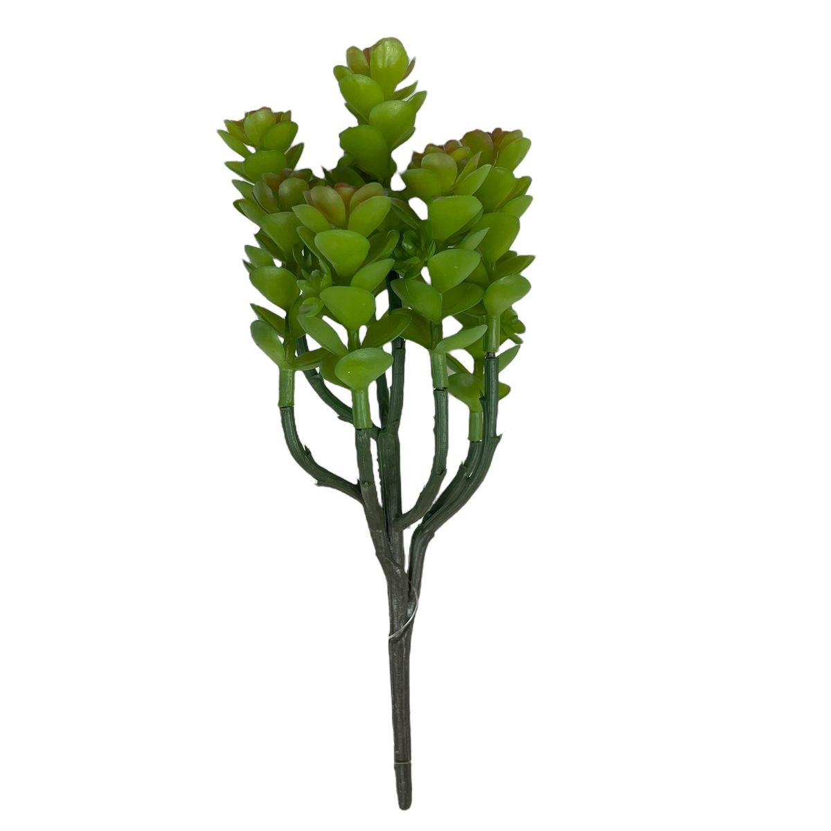 COREL - Cactus Boxwood Verde-Rojo Artificial - Estilo Natural para Interiores y Vitrinas