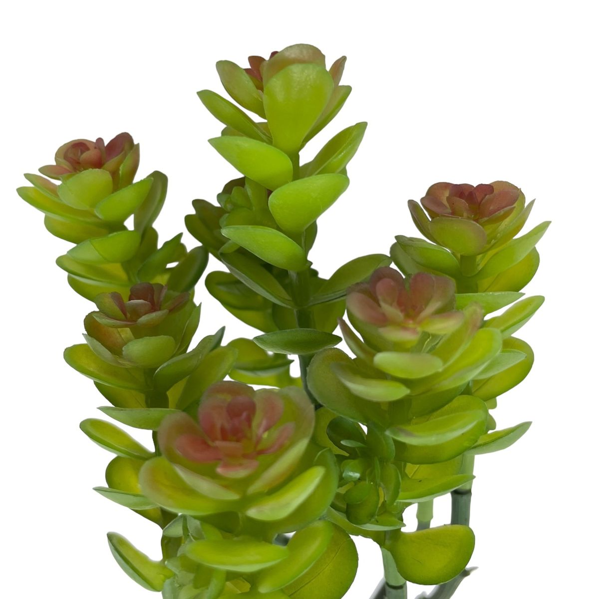 COREL - Cactus Boxwood Verde-Rojo Artificial - Estilo Natural para Interiores y Vitrinas