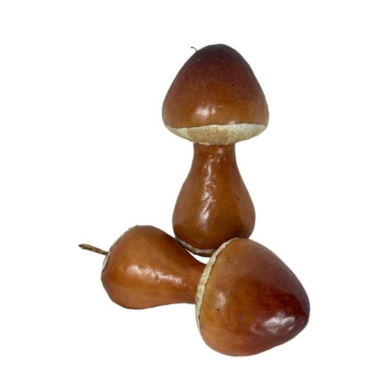 COREL - Champiñones Decorativos Artificial - Estilo Natural para Interiores y Vitrinas