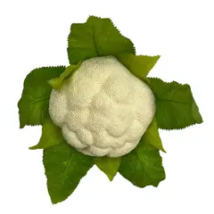 COREL - Coliflor Artificial 18cm Artificial - Estilo Natural para Interiores y Vitrinas
