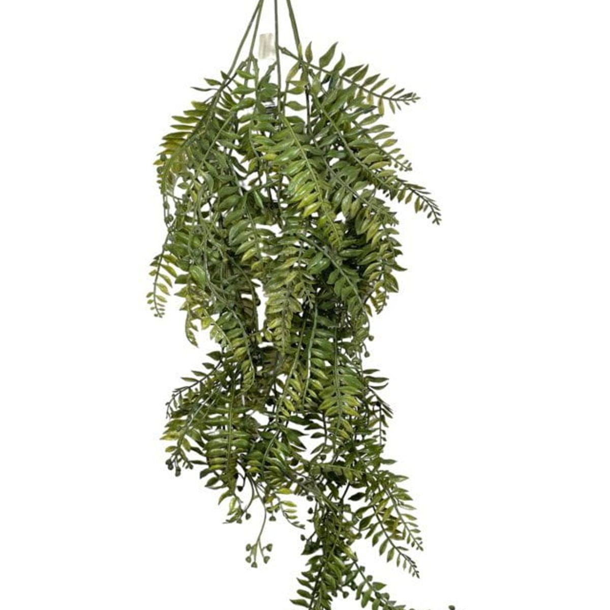 COREL - Enredadera Colgante Cypress Verde Artificial - Estilo Natural para Interiores y Vitrinas