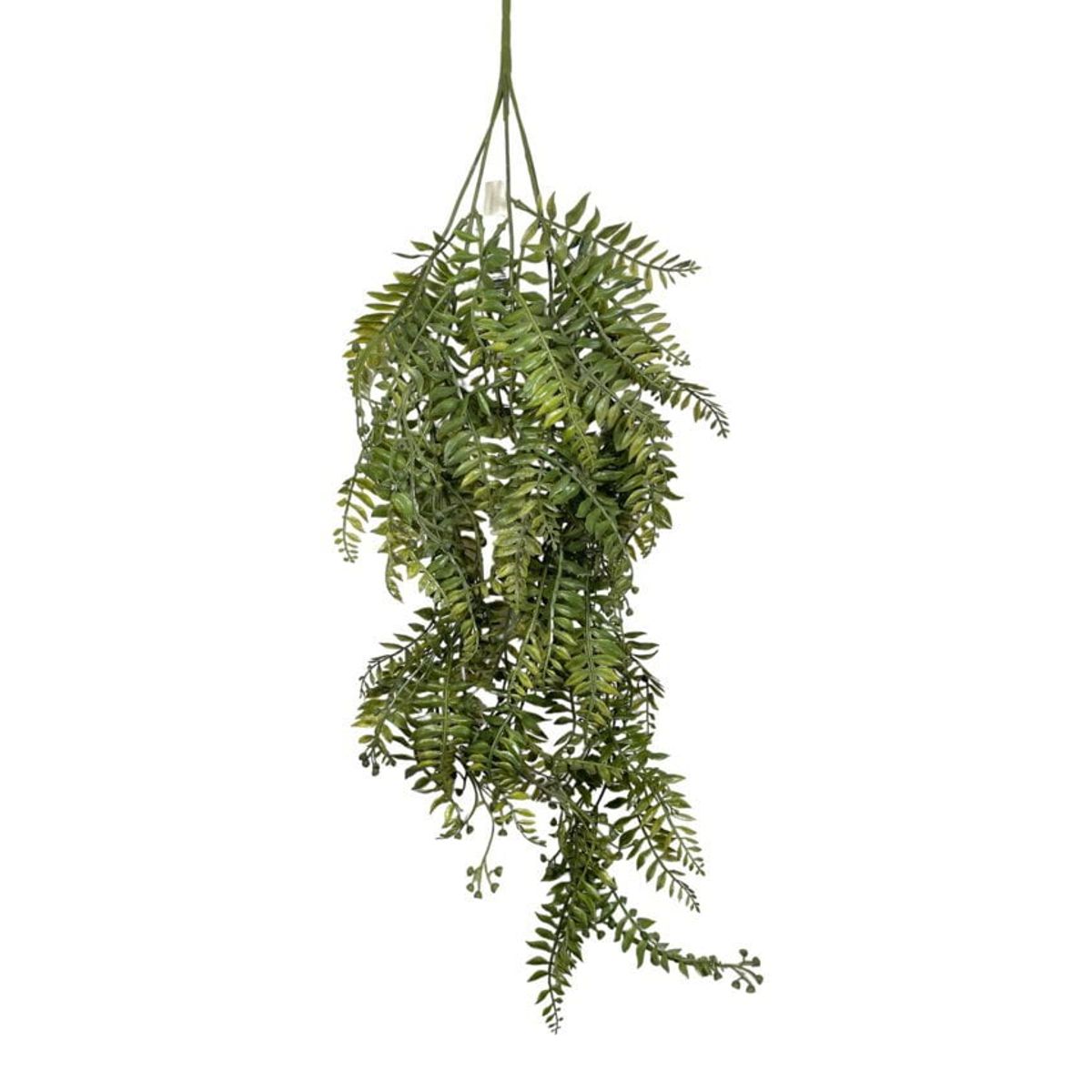 COREL - Enredadera Colgante Cypress Verde Artificial - Estilo Natural para Interiores y Vitrinas