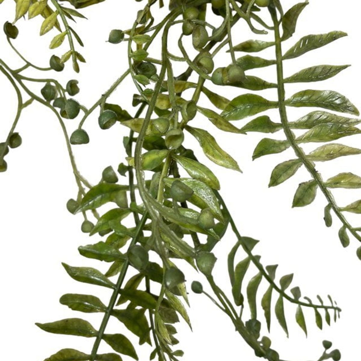 COREL - Enredadera Colgante Cypress Verde Artificial - Estilo Natural para Interiores y Vitrinas