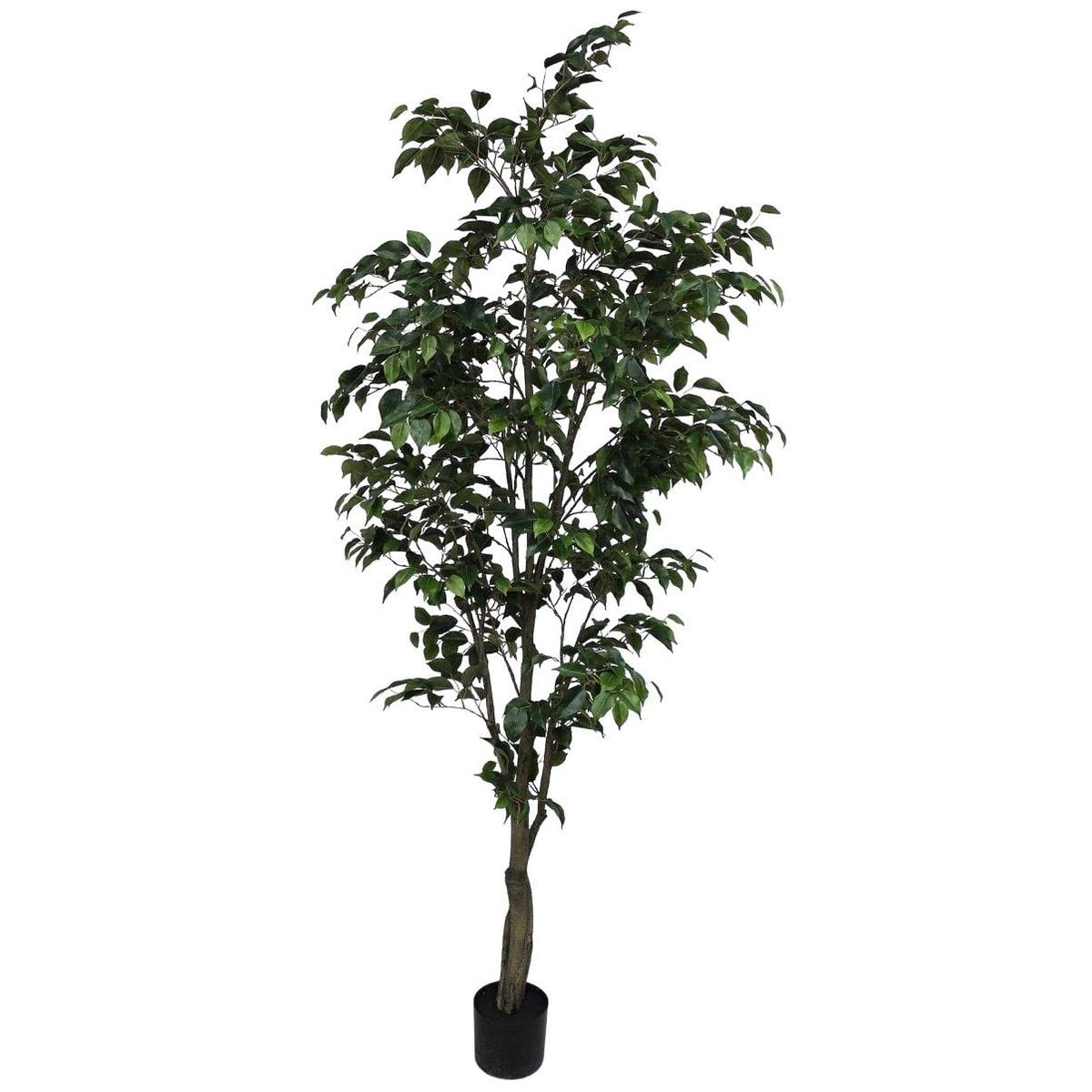 COREL - Ficus Clásico 210cm Artificial - Estilo Natural para Interiores y Vitrinas
