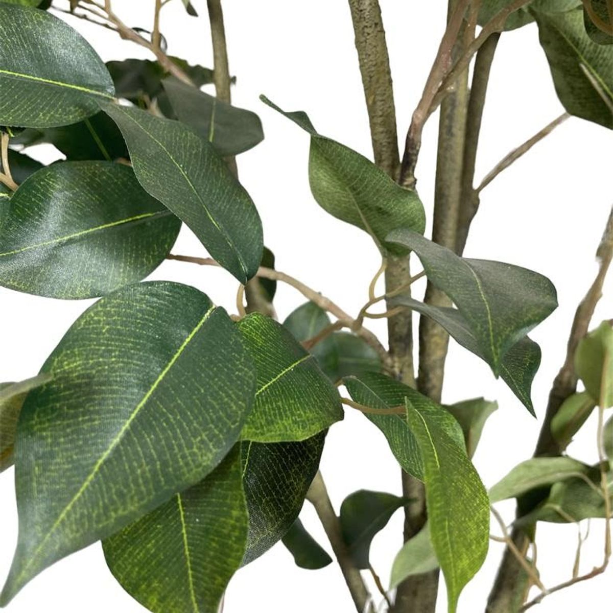 COREL - Ficus Clásico 210cm Artificial - Estilo Natural para Interiores y Vitrinas