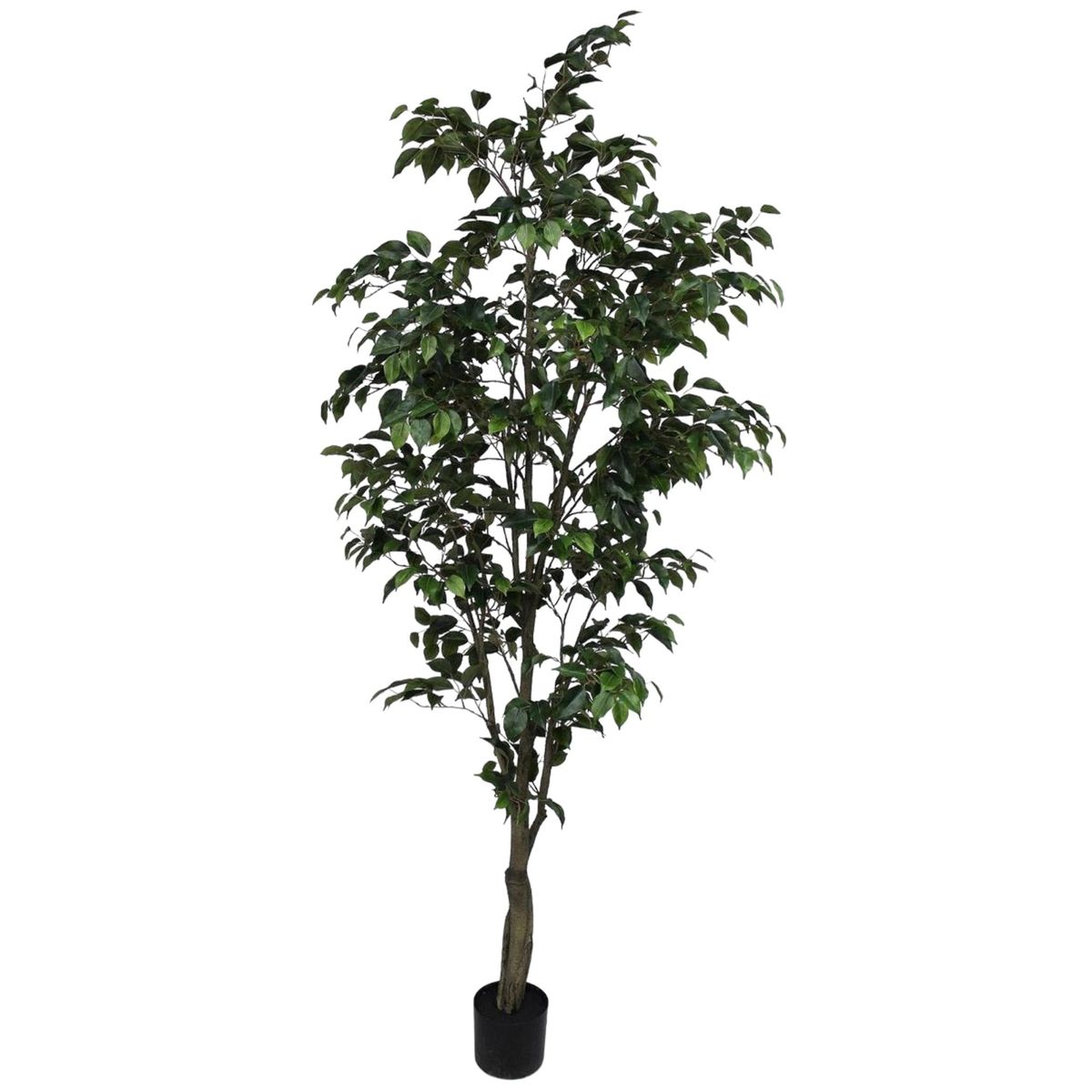 COREL - Ficus Clásico 240cm Artificial - Estilo Natural para Interiores y Vitrinas