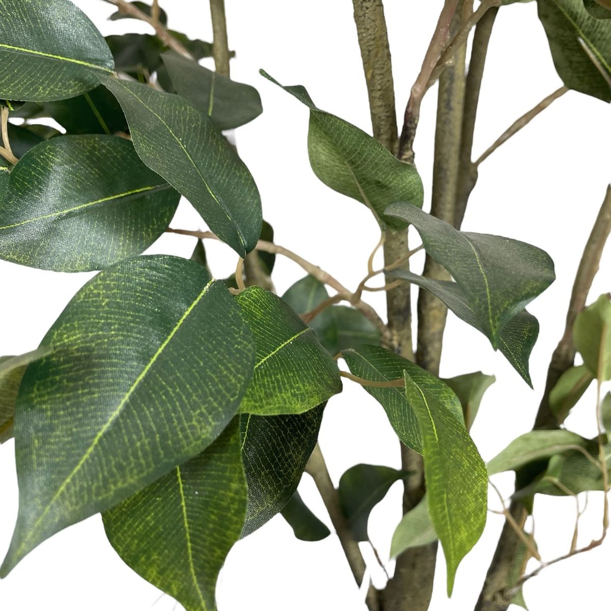 COREL - Ficus Clásico 240cm Artificial - Estilo Natural para Interiores y Vitrinas