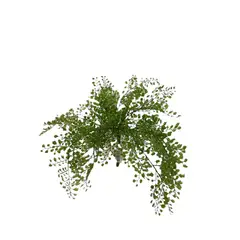 COREL - Helecho Adiantum 36cm Artificial - Estilo Natural para Interiores y Vitrinas