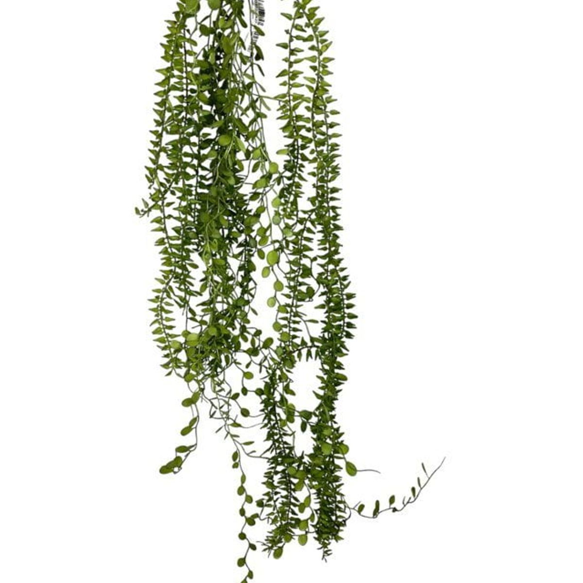 COREL - Helecho Colgante de Hoja Mini Artificial - Estilo Natural para Interiores y Vitrinas