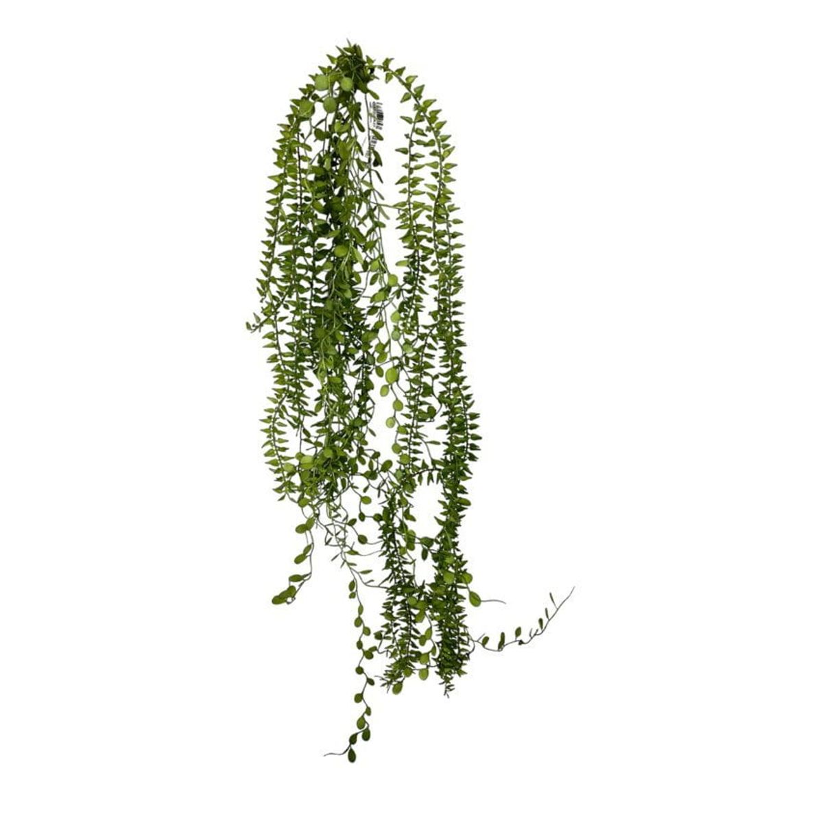 COREL - Helecho Colgante de Hoja Mini Artificial - Estilo Natural para Interiores y Vitrinas