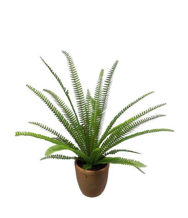 Helecho Espada Artificial 61cm Artificial - Estilo Natural para Interiores y Vitrinas