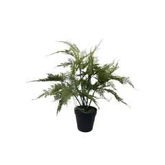 COREL - Helecho Esparagus 46cm Artificial - Estilo Natural para Interiores y Vitrinas