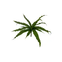 COREL - Helecho Nido de Pájaro 22cm Artificial - Estilo Natural para Interiores y Vitrinas