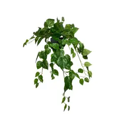 COREL - Hiedra Philodendro Colgante 89cm Artificial - Estilo Natural para Interiores y Vitrinas