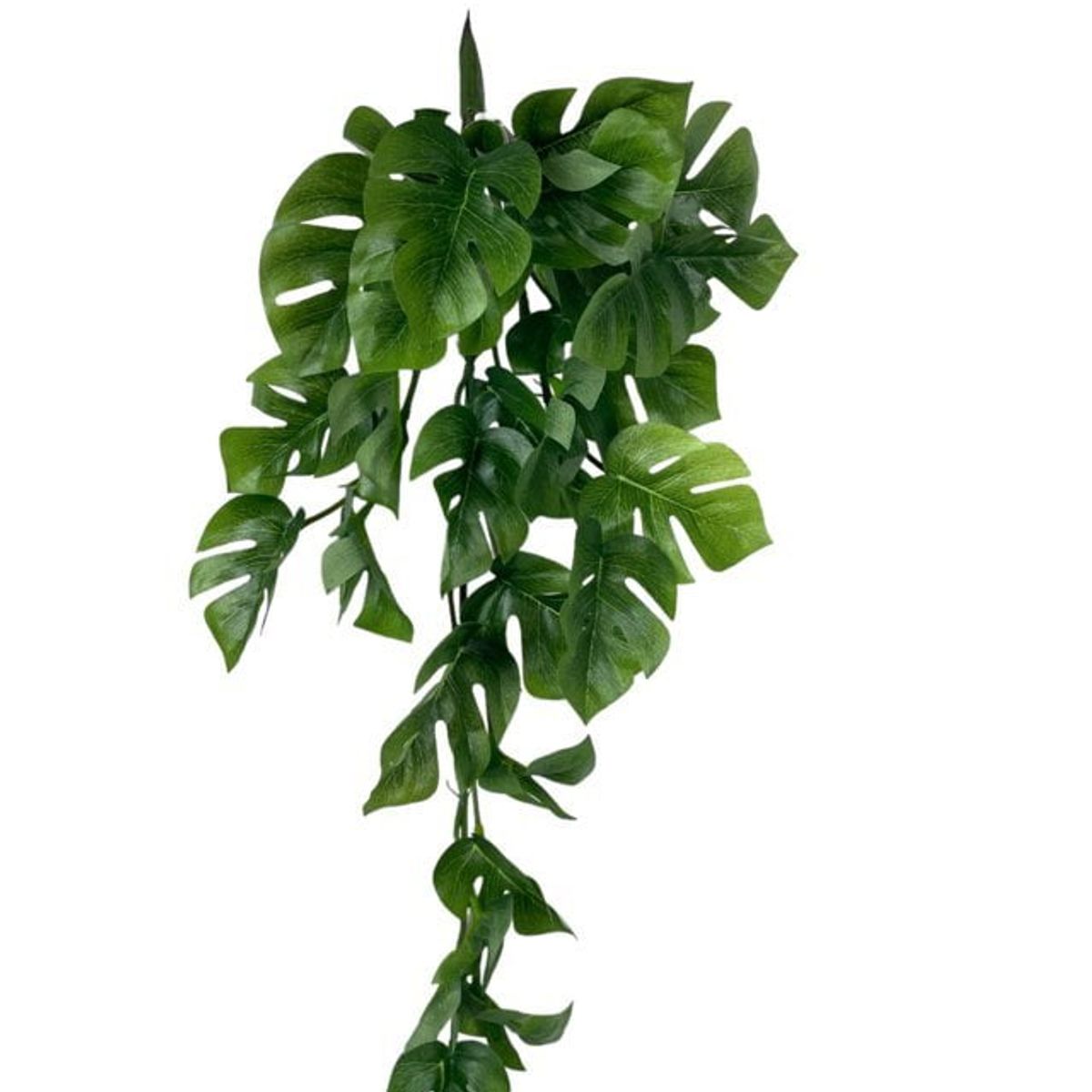 COREL - Hiedra Spathipylium 50cm Artificial - Estilo Natural para Interiores y Vitrinas