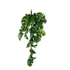 COREL - Hiedra Spathipylium 50cm Artificial - Estilo Natural para Interiores y Vitrinas