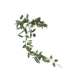 COREL - Hiedra Zebrina 70cm Artificial - Estilo Natural para Interiores y Vitrinas