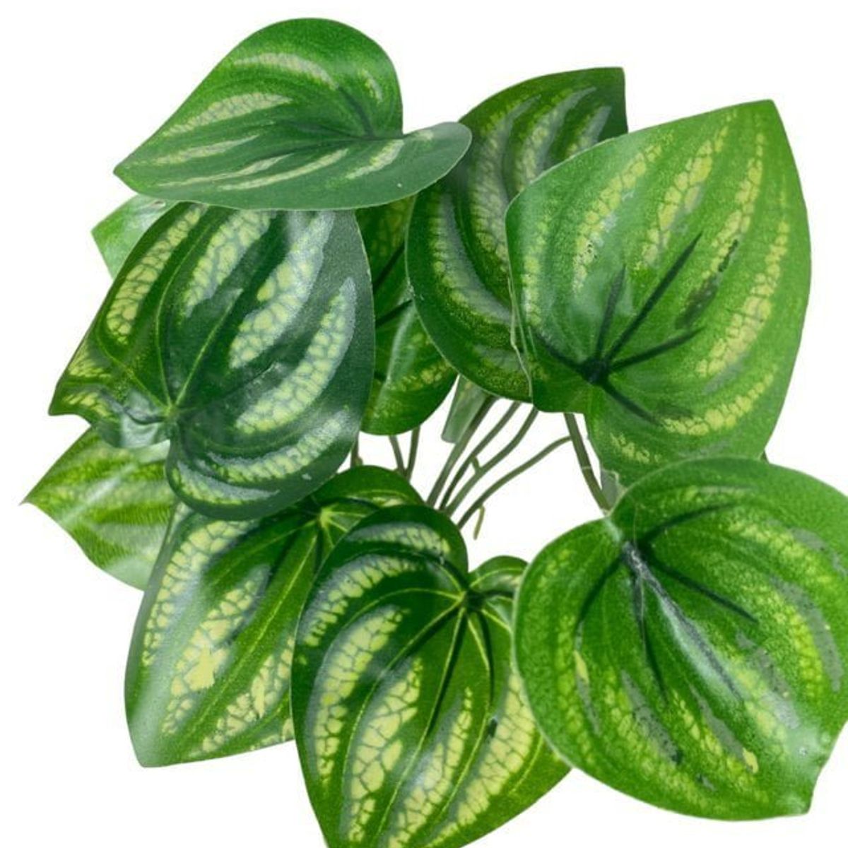 COREL - Hoja de Sandia 30cm Artificial - Estilo Natural para Interiores y Vitrinas