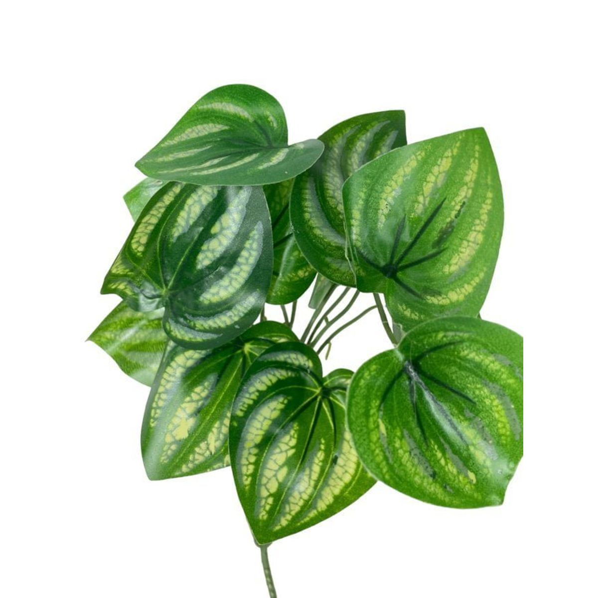 COREL - Hoja de Sandia 30cm Artificial - Estilo Natural para Interiores y Vitrinas