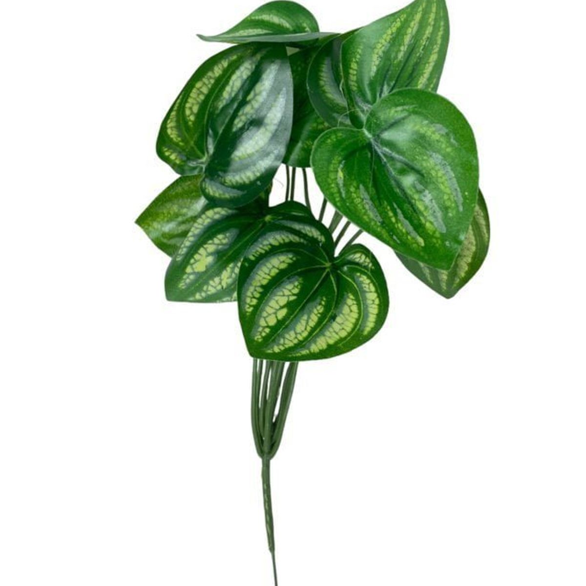 COREL - Hoja de Sandia 30cm Artificial - Estilo Natural para Interiores y Vitrinas