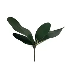 COREL - Hojas de Orquídea 24cm Artificial - Estilo Natural para Interiores y Vitrinas