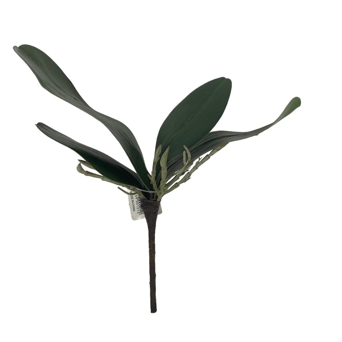 COREL - Hojas de Orquídea 24cm Artificial - Estilo Natural para Interiores y Vitrinas
