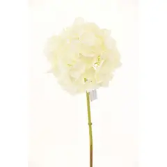 COREL - Hortensia Blanca 50cm Artificial - Estilo Natural para Interiores y Vitrinas