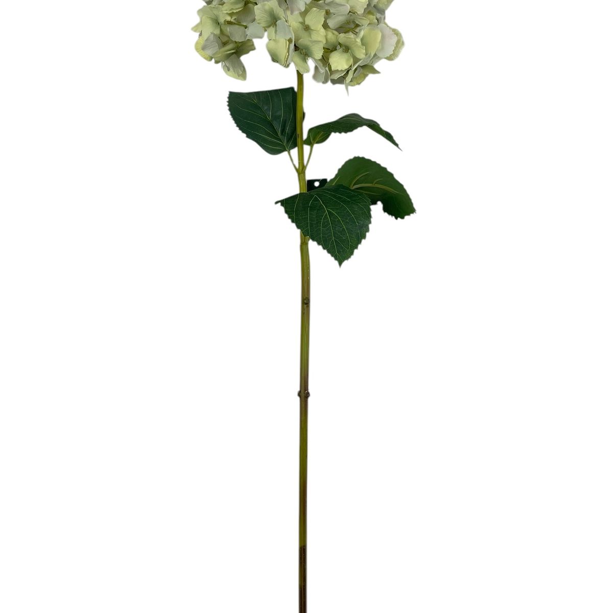 COREL - Hortensia blanca celeste con Hojas 82cm Artificial - Estilo Natural para Interiores y Vitrinas