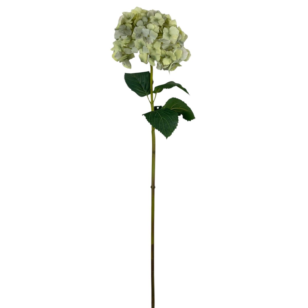 COREL - Hortensia blanca celeste con Hojas 82cm Artificial - Estilo Natural para Interiores y Vitrinas