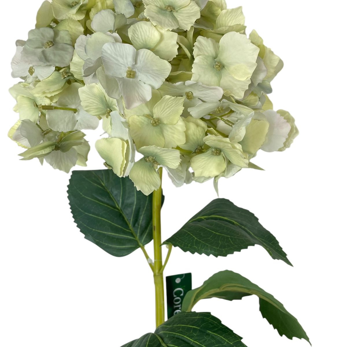 COREL - Hortensia blanca celeste con Hojas 82cm Artificial - Estilo Natural para Interiores y Vitrinas