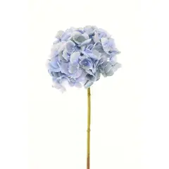 COREL - Hortensia Celeste 50cm Artificial - Estilo Natural para Interiores y Vitrinas