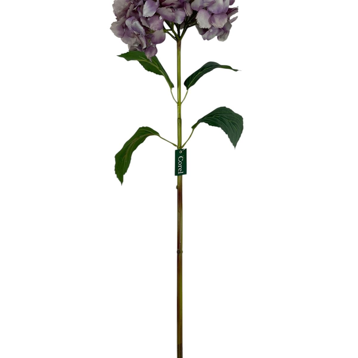 COREL - Hortensia Lila con Hojas de 82cm Artificial - Estilo Natural para Interiores y Vitrinas