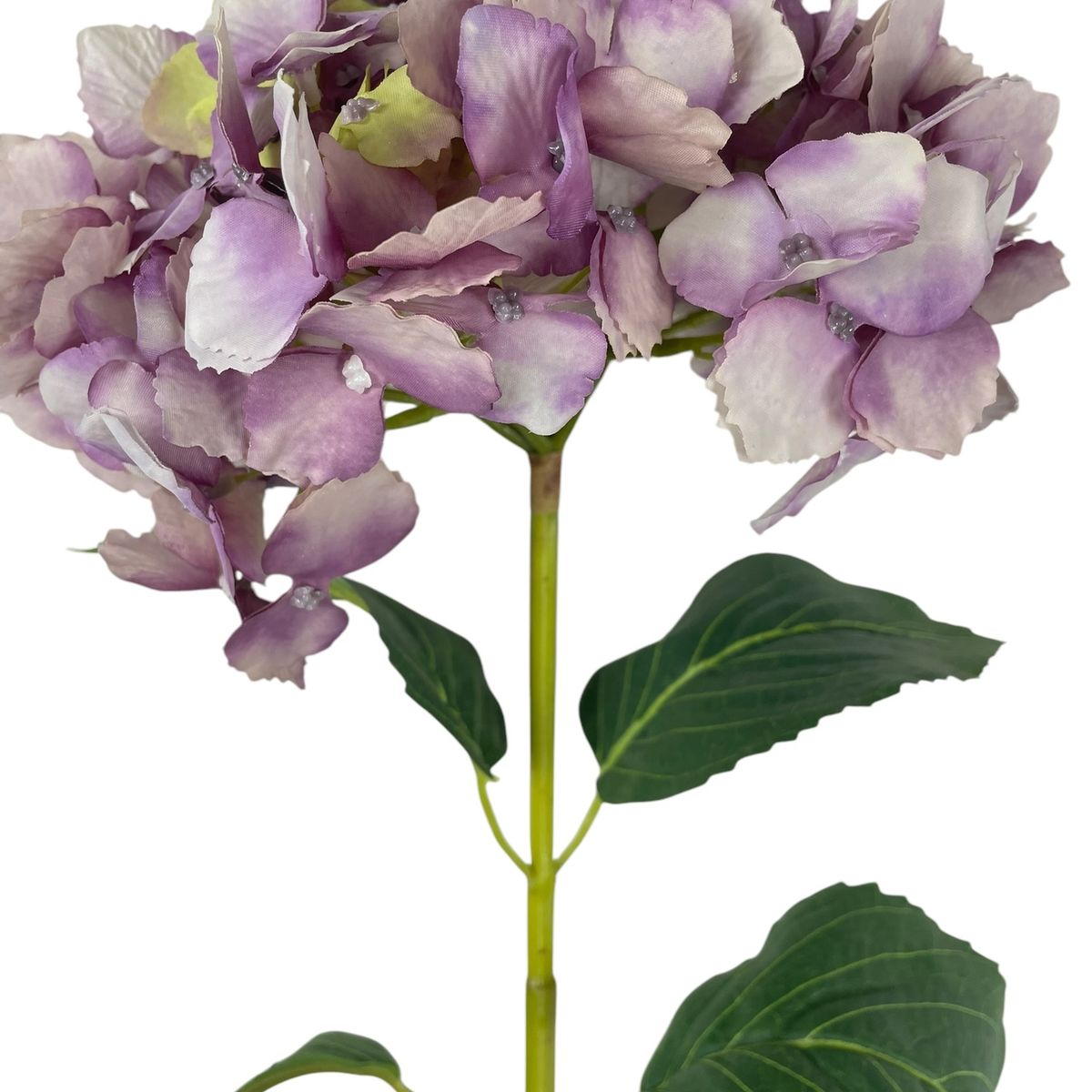 COREL - Hortensia Lila con Hojas de 82cm Artificial - Estilo Natural para Interiores y Vitrinas
