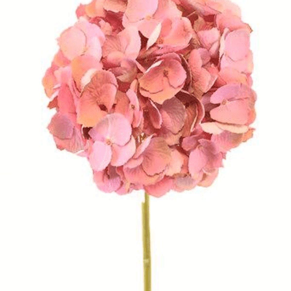 COREL - Hortensia Rosada 50cm Artificial - Estilo Natural para Interiores y Vitrinas