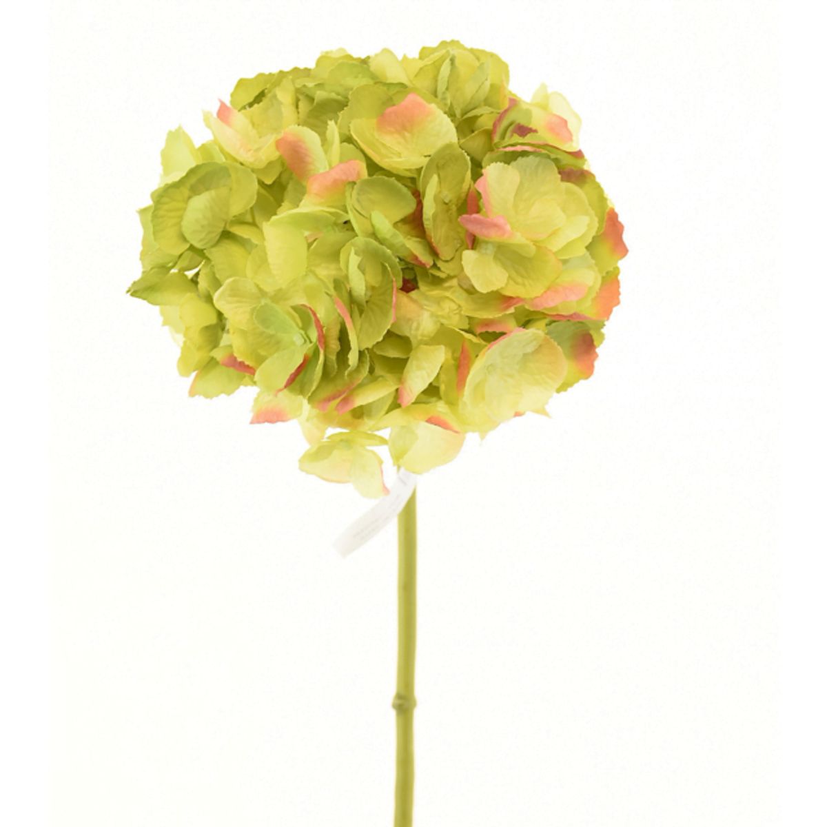 COREL - Hortensia Verde Oscuro 50cm Artificial - Estilo Natural para Interiores y Vitrinas