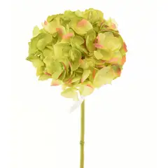 COREL - Hortensia Verde Oscuro 50cm Artificial - Estilo Natural para Interiores y Vitrinas