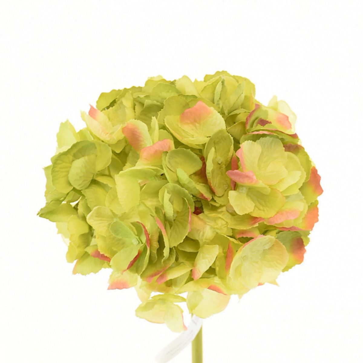 COREL - Hortensia Verde Oscuro 50cm Artificial - Estilo Natural para Interiores y Vitrinas