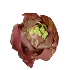 COREL - Lechuga Francesa 16cm Artificial - Estilo Natural para Interiores y Vitrinas