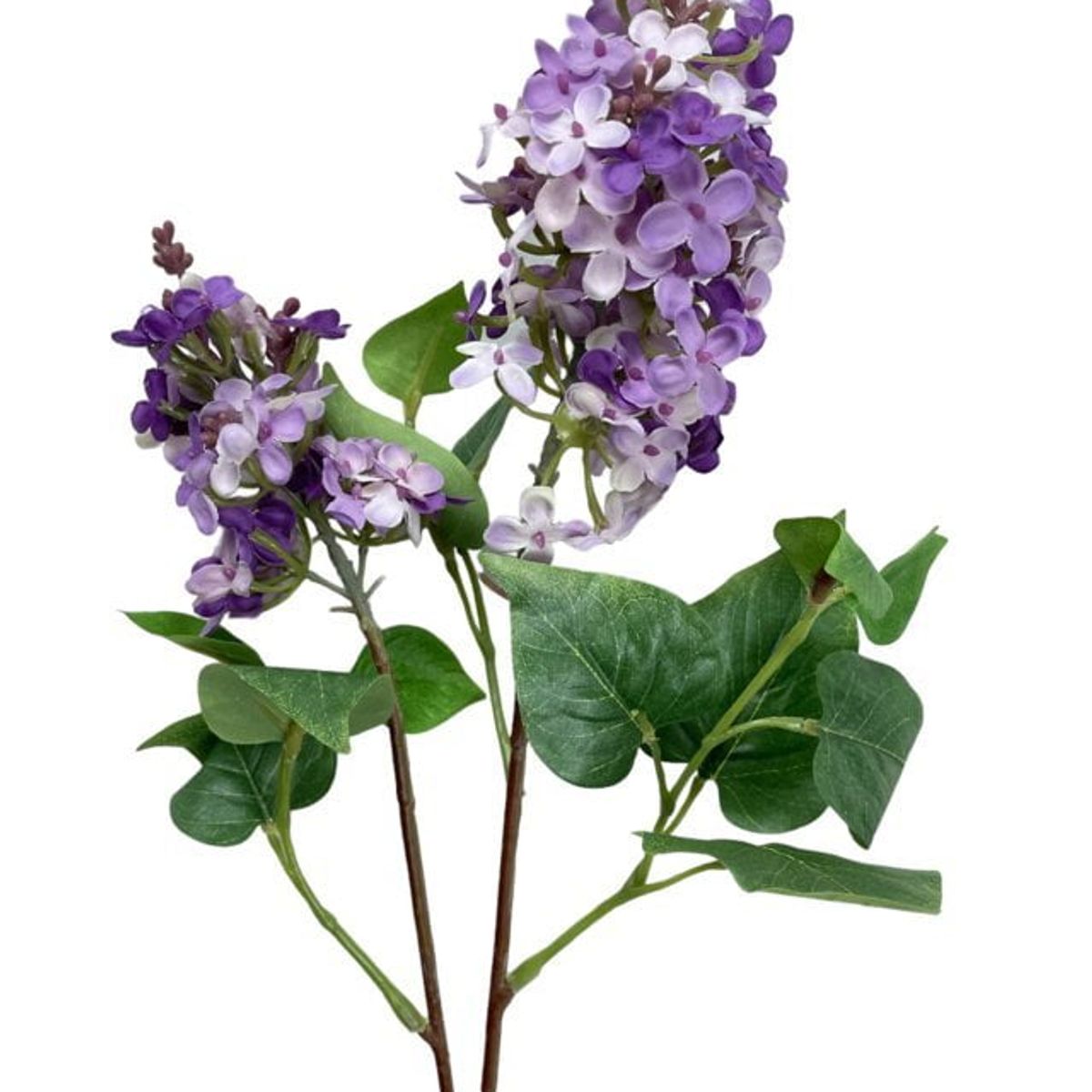 COREL - Lila Morada Clara 85cm Artificial - Estilo Natural para Interiores y Vitrinas
