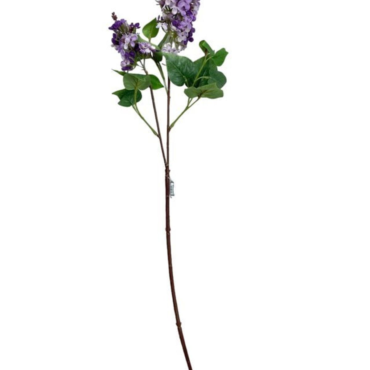 COREL - Lila Morada Clara 85cm Artificial - Estilo Natural para Interiores y Vitrinas