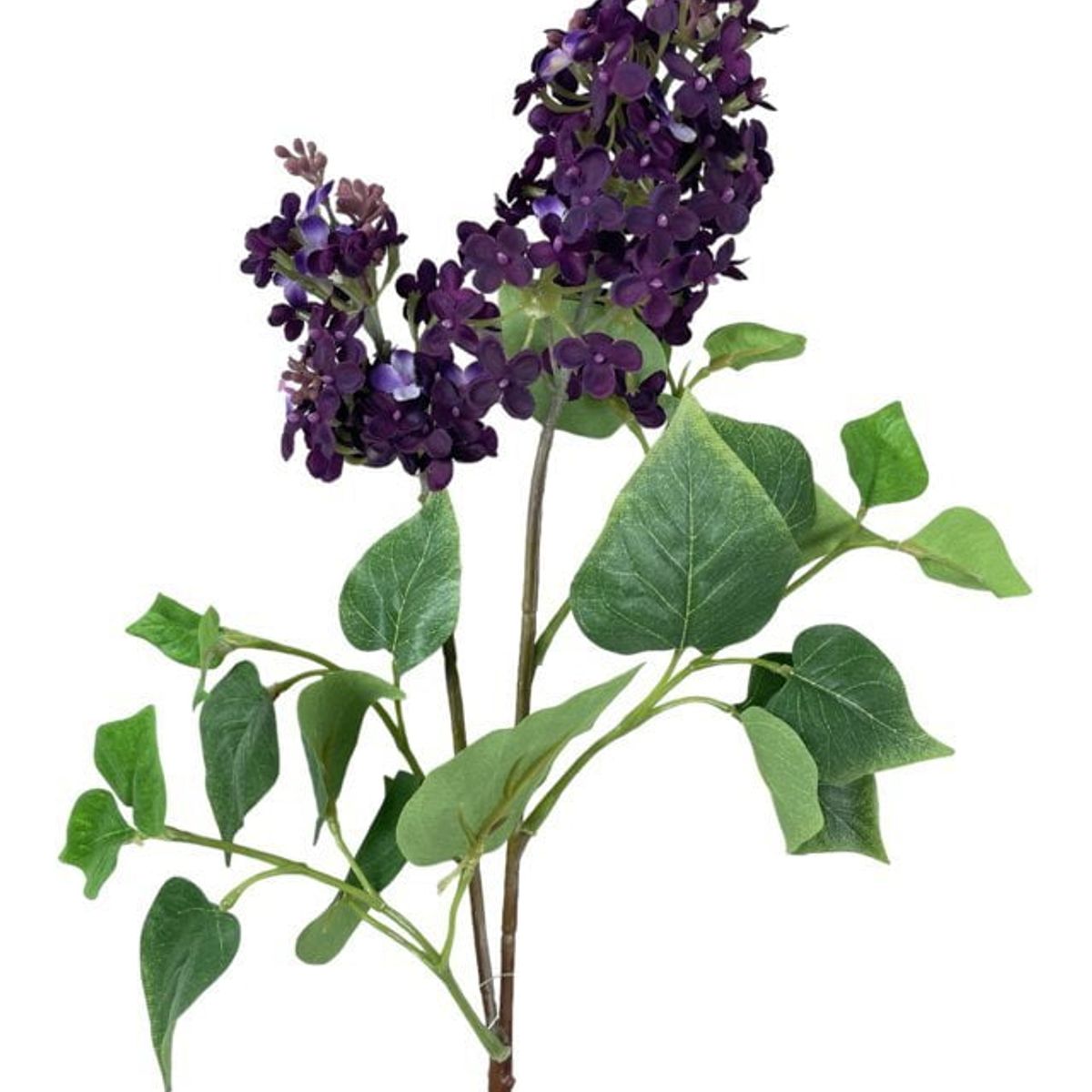 COREL - Lila Morada Oscura 85cm Artificial - Estilo Natural para Interiores y Vitrinas