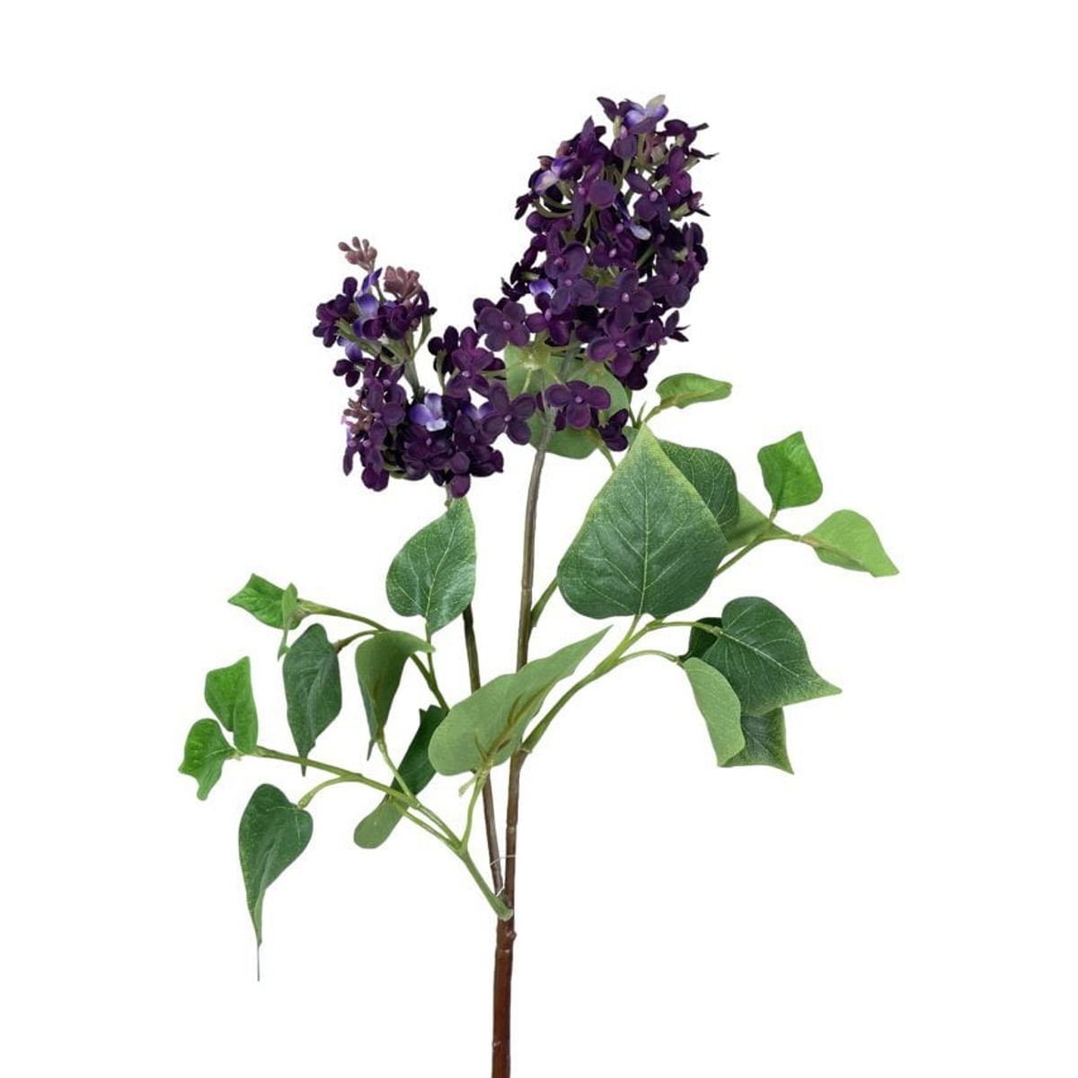 COREL - Lila Morada Oscura 85cm Artificial - Estilo Natural para Interiores y Vitrinas