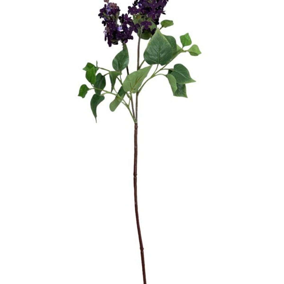 COREL - Lila Morada Oscura 85cm Artificial - Estilo Natural para Interiores y Vitrinas